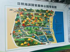 -日照海滨国家森林公园