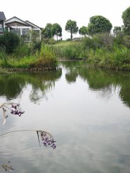 -水八仙生态园