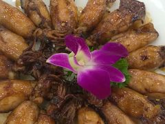 美极笔管鱼-海岛渔村大酒店(云霄路店)