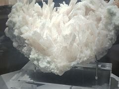 -湖南省地质博物馆