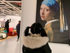 -宜家家居(哈尔滨商场店)