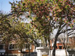 -天津五大道文化旅游区