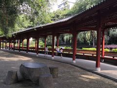 -光明港公园