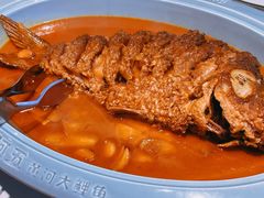 -阿五黄河大鲤鱼(纬三路店)