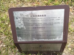 -南翔镇银翔湖公园