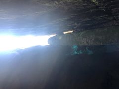 -汤旺河林海奇石景区