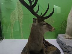 -国家自然博物馆