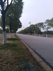 -水八仙生态园