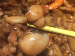 -胖哥俩肉蟹煲(福州仓山爱琴海店)