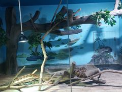 -石家庄市动物园