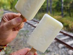 -莫尔道嘎国家森林公园