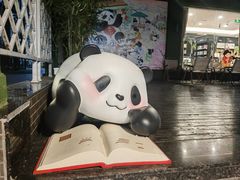 -轩客会(熊猫书店)
