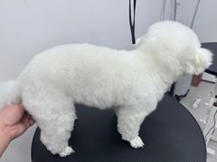 -comecome来吧宠物(奥克斯中心店)