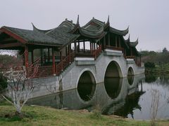 -上海海湾国家森林公园