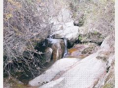 -王顺山国家森林公园