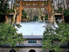 -灵谷景区