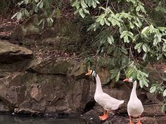 -兰亭风景区