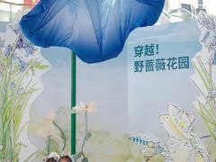 -武汉荟聚