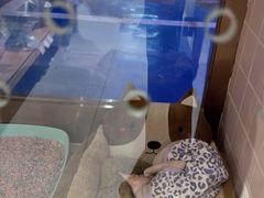 -FAELING PETS美天灵宠物(富力广场店)