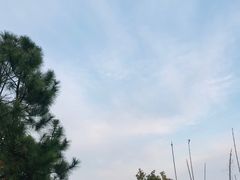 -雨花胜境