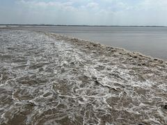 -盐官日光域房车营地·有盐餐厅