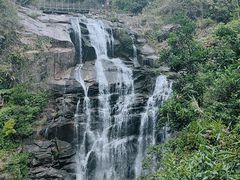 -海南热带雨林国家公园吊罗山景区