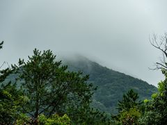 -严子陵钓台(富春江小三峡)