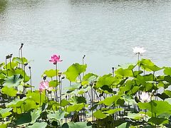 -西海子公园