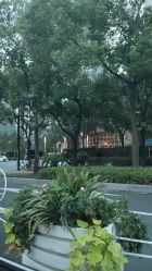 -静安洲际酒店·宴会厅