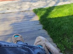 -合肥滨湖国家森林公园