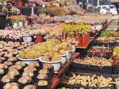 -鸡毛店·川菜(双楠店)