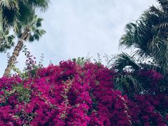 -马洛雷勒花园
