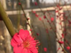 -北京鹫峰国家森林公园