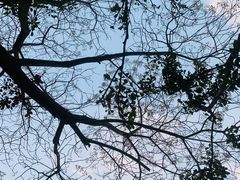 -西安国际创新人才交流中心•药浴温泉