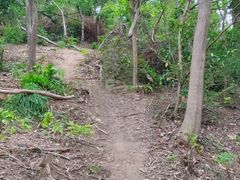 -青龙山国家森林公园