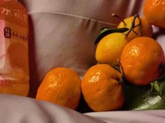 -汤泉良子(马连道店)