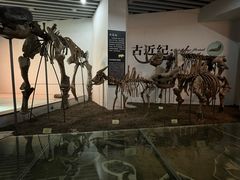 -烟台自然博物馆