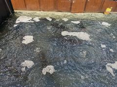 -雪野鱼头大王邢府公老店(雪野湖店)