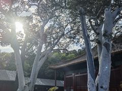 -鲜鱼口老字号美食街