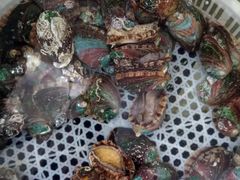 -福娣·金沙银贝海鲜火锅