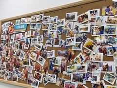 -贝乐少儿英语·全外教(滨江中心)