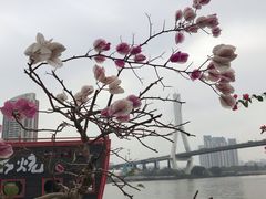 -粥旺庄(芳村店)
