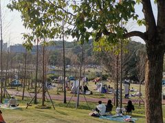 -牛岗山公园