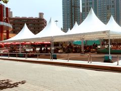 -朝阳公园游乐园