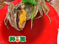 糟醉蟹-绍兴名菜馆(可乐路店)