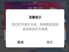 -杨梅坑