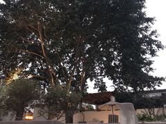 -悦哉·派对·草坪婚礼·围炉煮茶(三圣乡店)