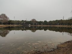 -堤角公园
