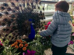 -重庆江北国际机场-T2航站楼