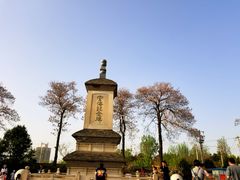 -西安青龙寺遗址景区
